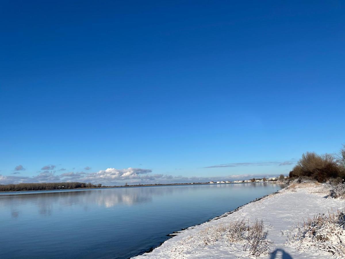 Top Ferienwohnung In Rerik - Nahe Salzhaff & Ostsee - Mit Gartenterrasse ภายนอก รูปภาพ