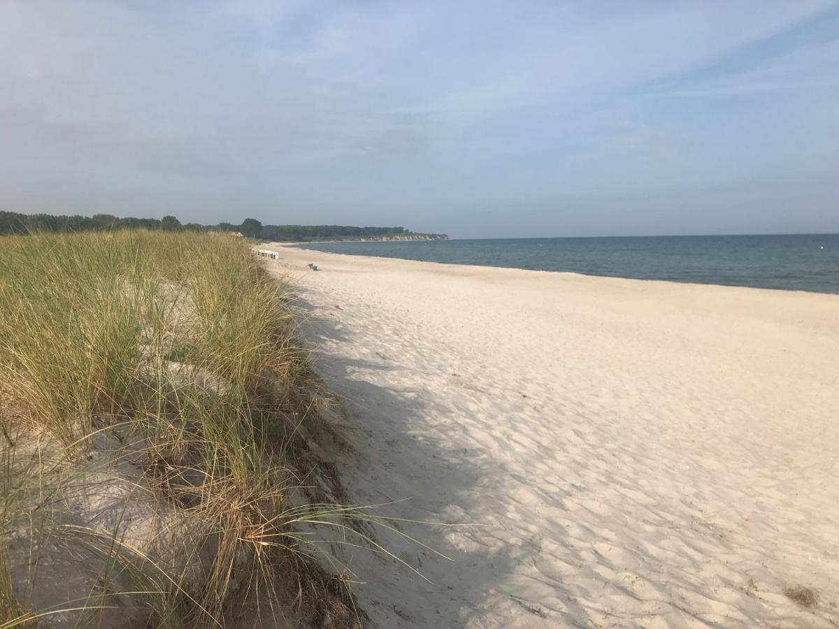 Top Ferienwohnung In Rerik - Nahe Salzhaff & Ostsee - Mit Gartenterrasse ภายนอก รูปภาพ